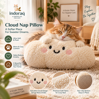 Cloud Nap Pillow